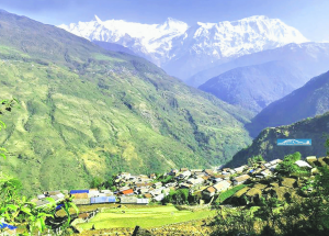 https://himalayanrandonner.com/package/tamu-trail-trek-the-gurung-heritage/