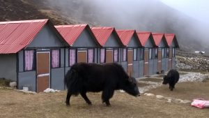 https://himalayanrandonner.com/