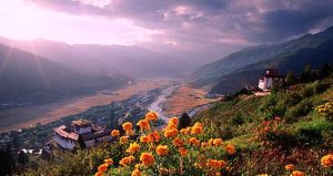 https://himalayanrandonner.com/